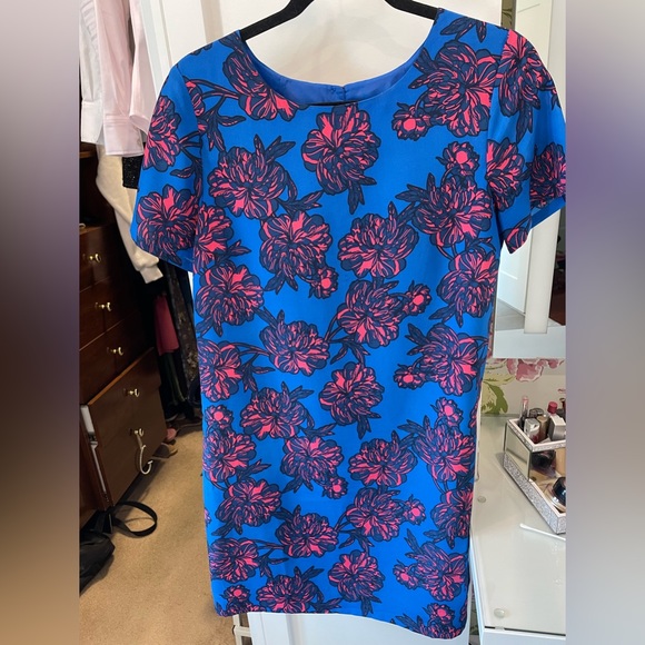 J Crew dress - Picture 1 of 9